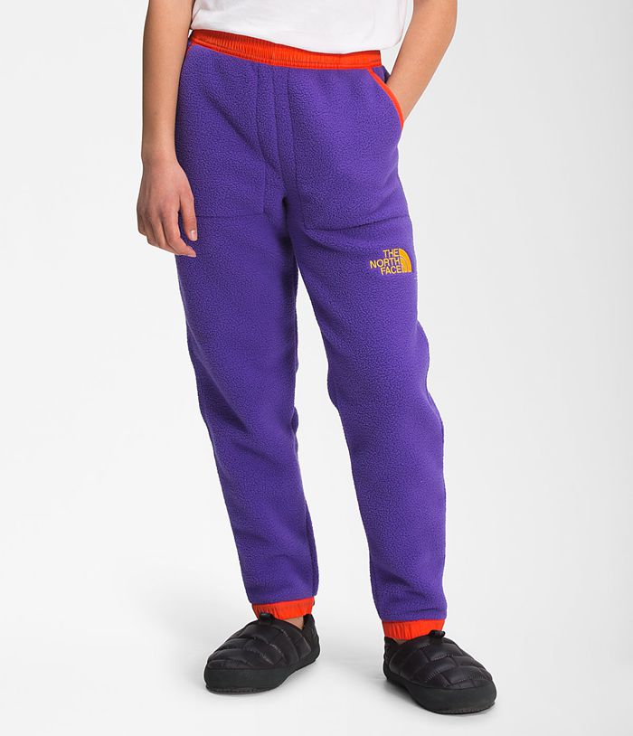 The North Face Youth Unisex Colorblock Fleece Pant Boys Bottoms Purple 490158-OTX